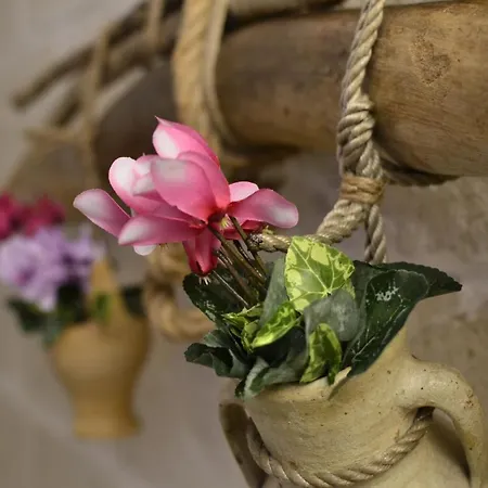 Dimora Madia * 莫诺波利